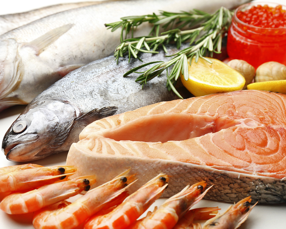 Vente de poisson en gros et semi-gros au Maroc