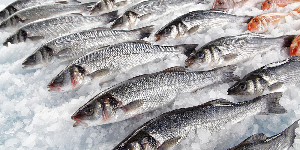 poisson surgelé